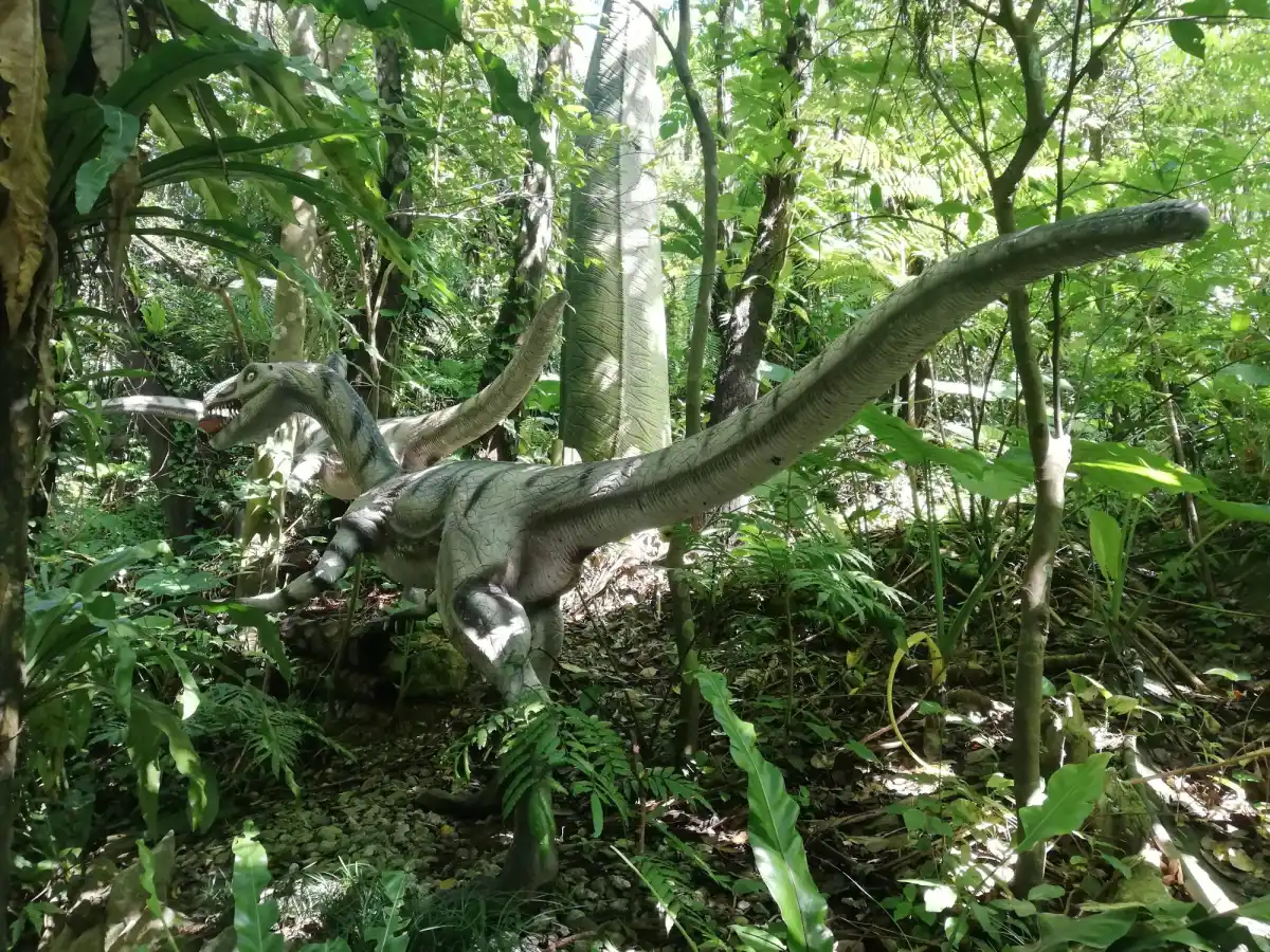 DINO 恐竜パークの写真