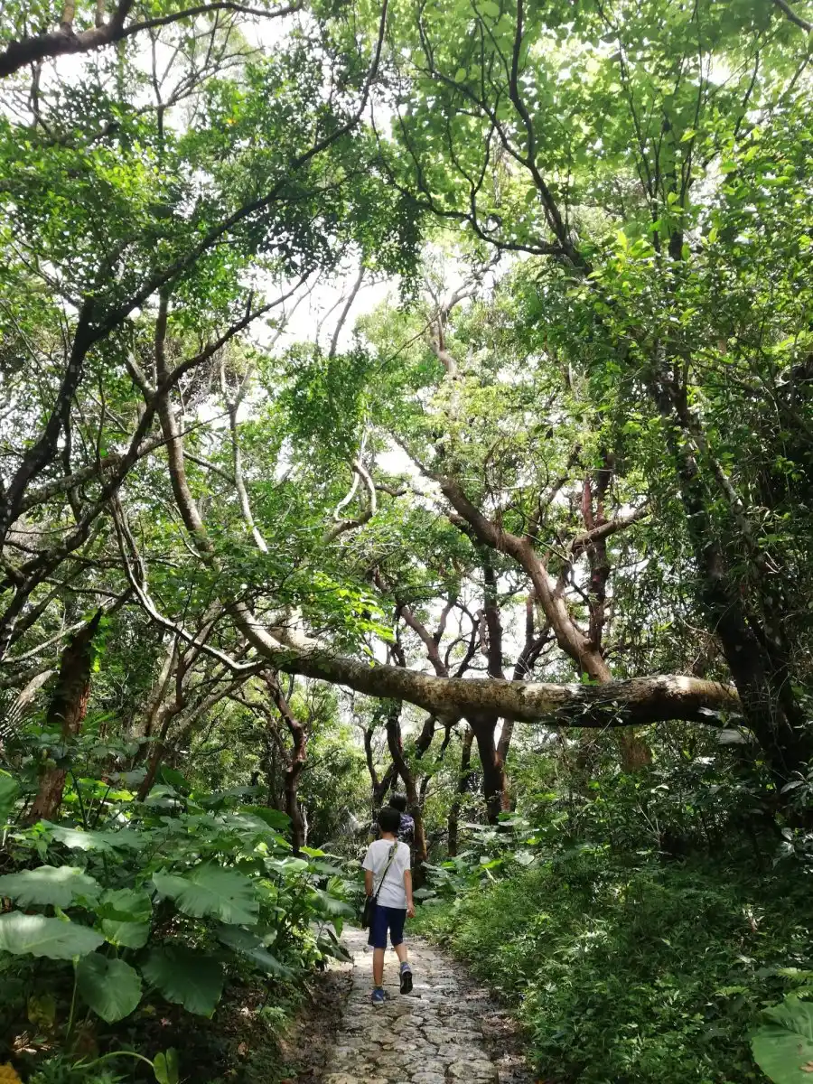 斎場御嶽の写真