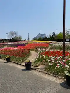 新潟伊勢丹の写真