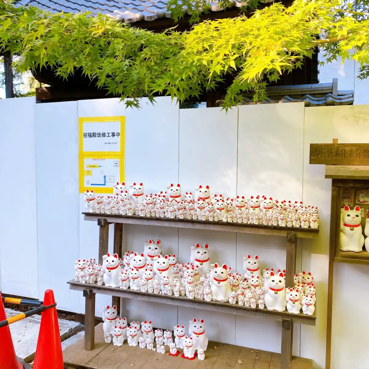 大谿山 豪徳寺の写真