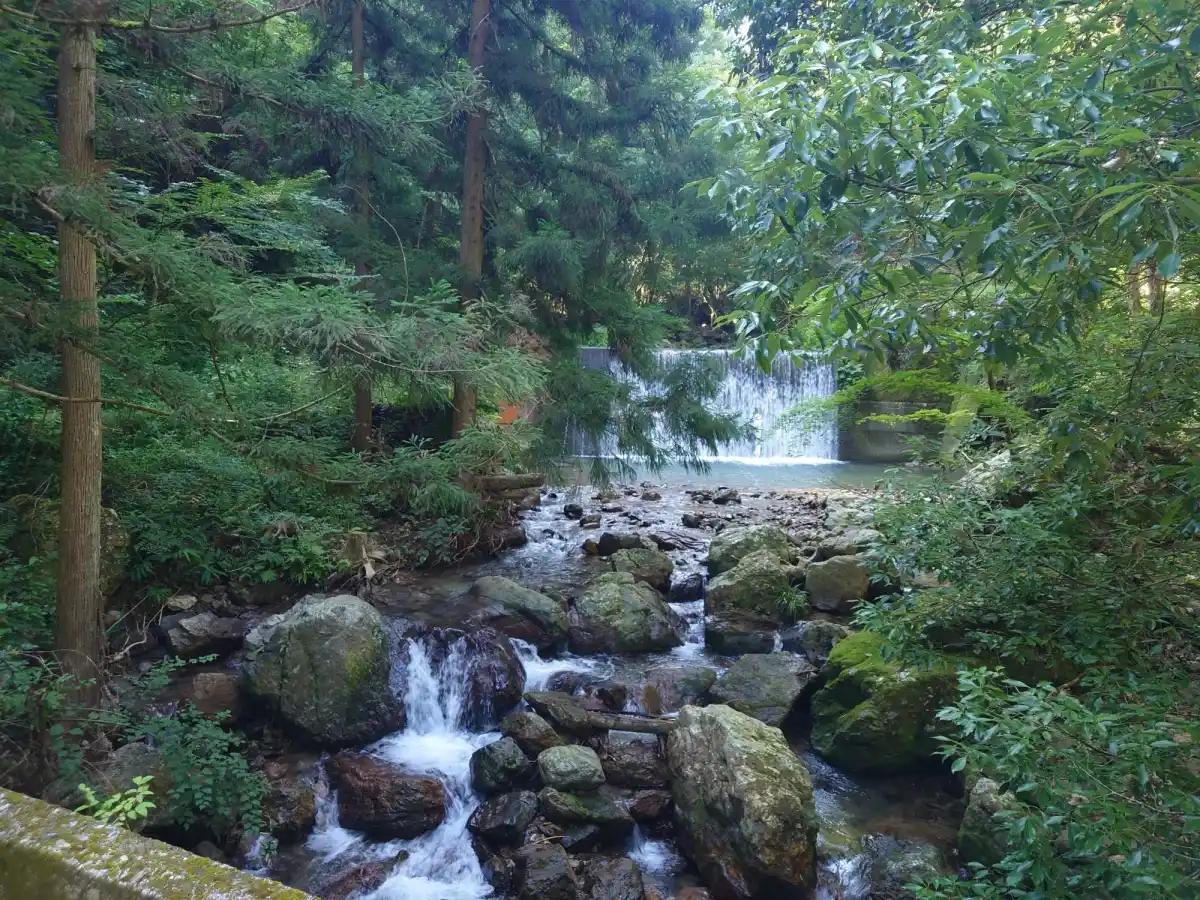 観音水の写真