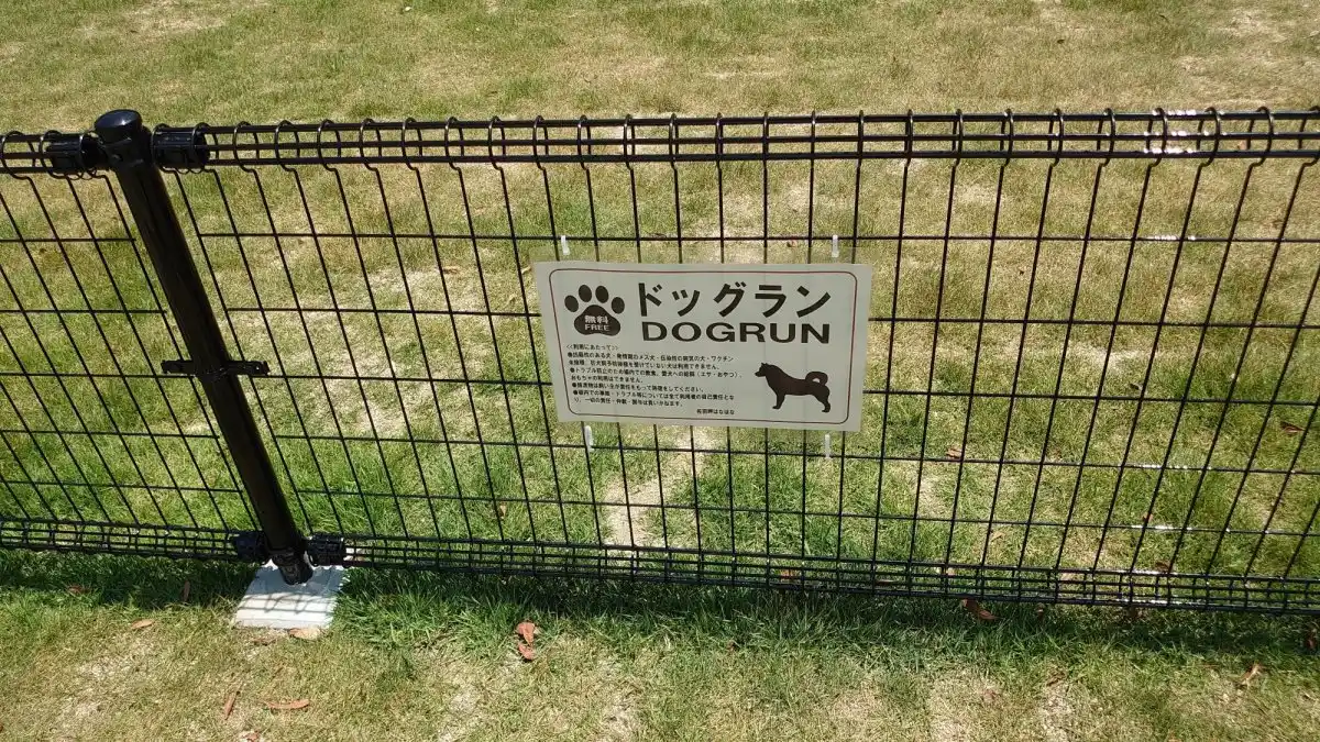 佐田岬はなはなの写真