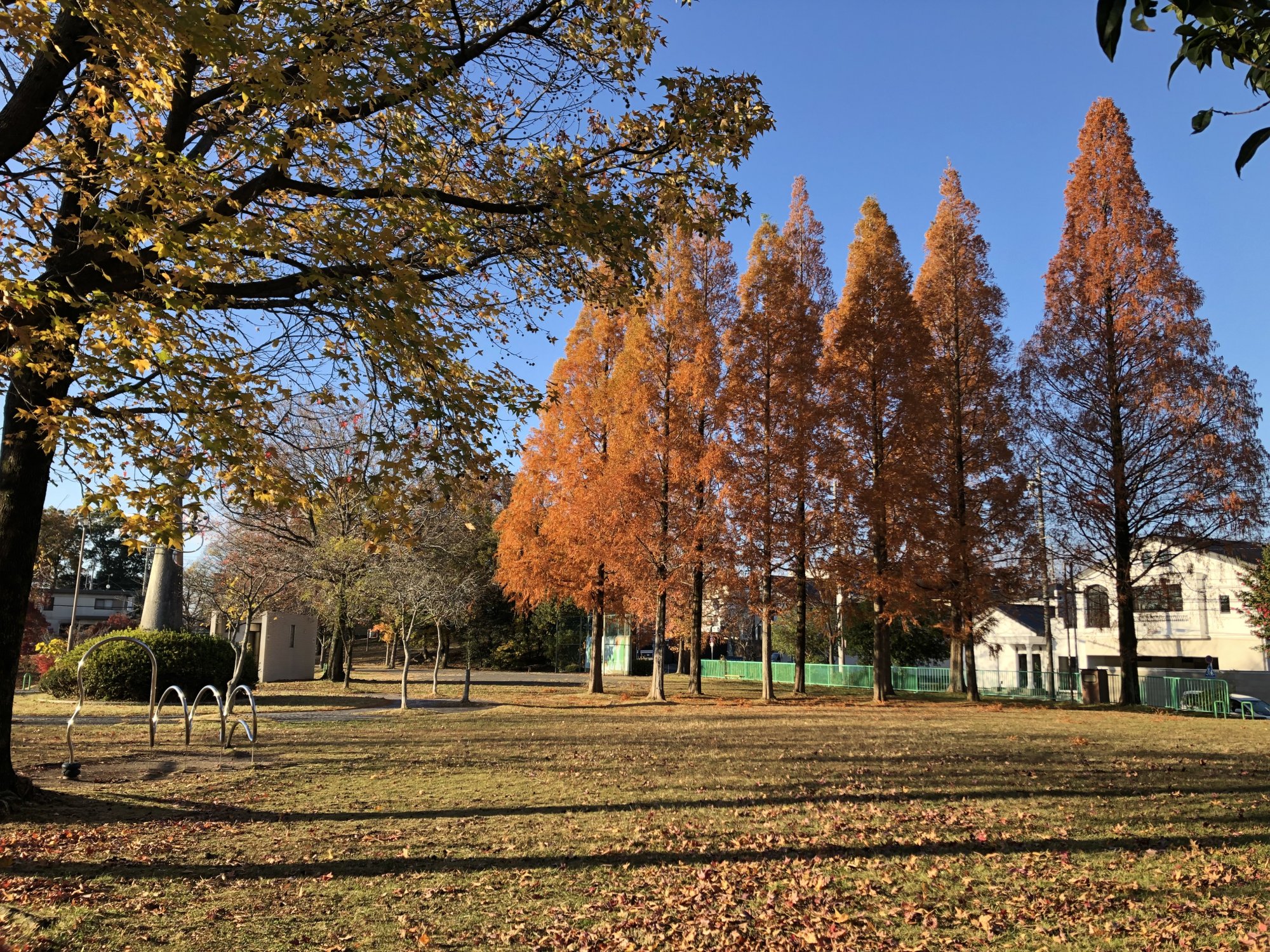 要池公園の写真