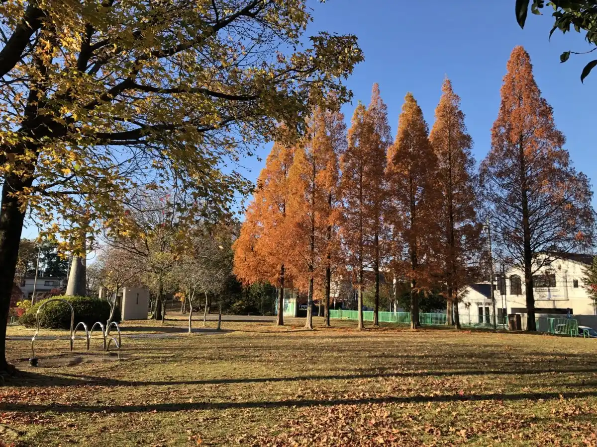要池公園の写真
