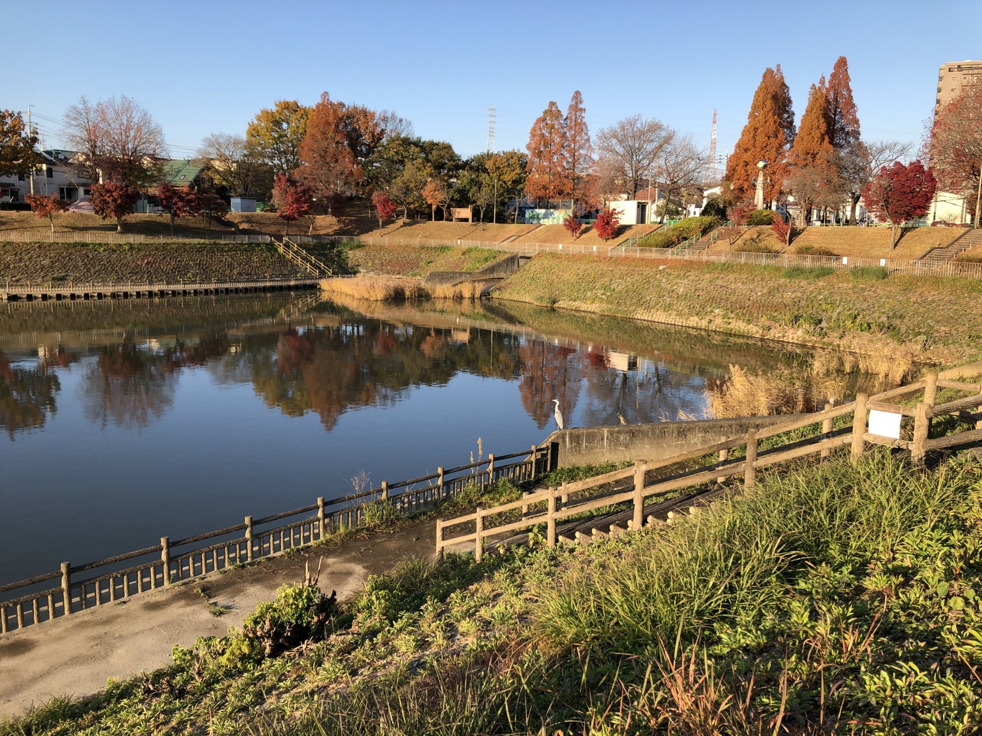 要池公園の写真