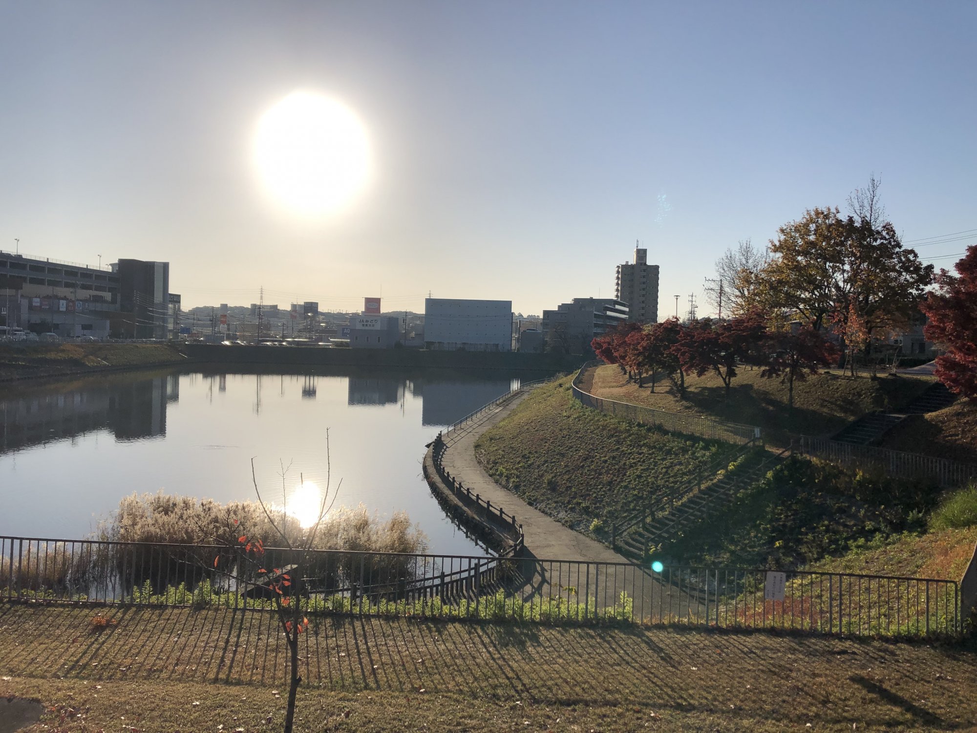 要池公園の写真