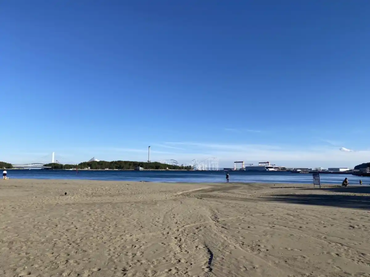 海の公園の写真
