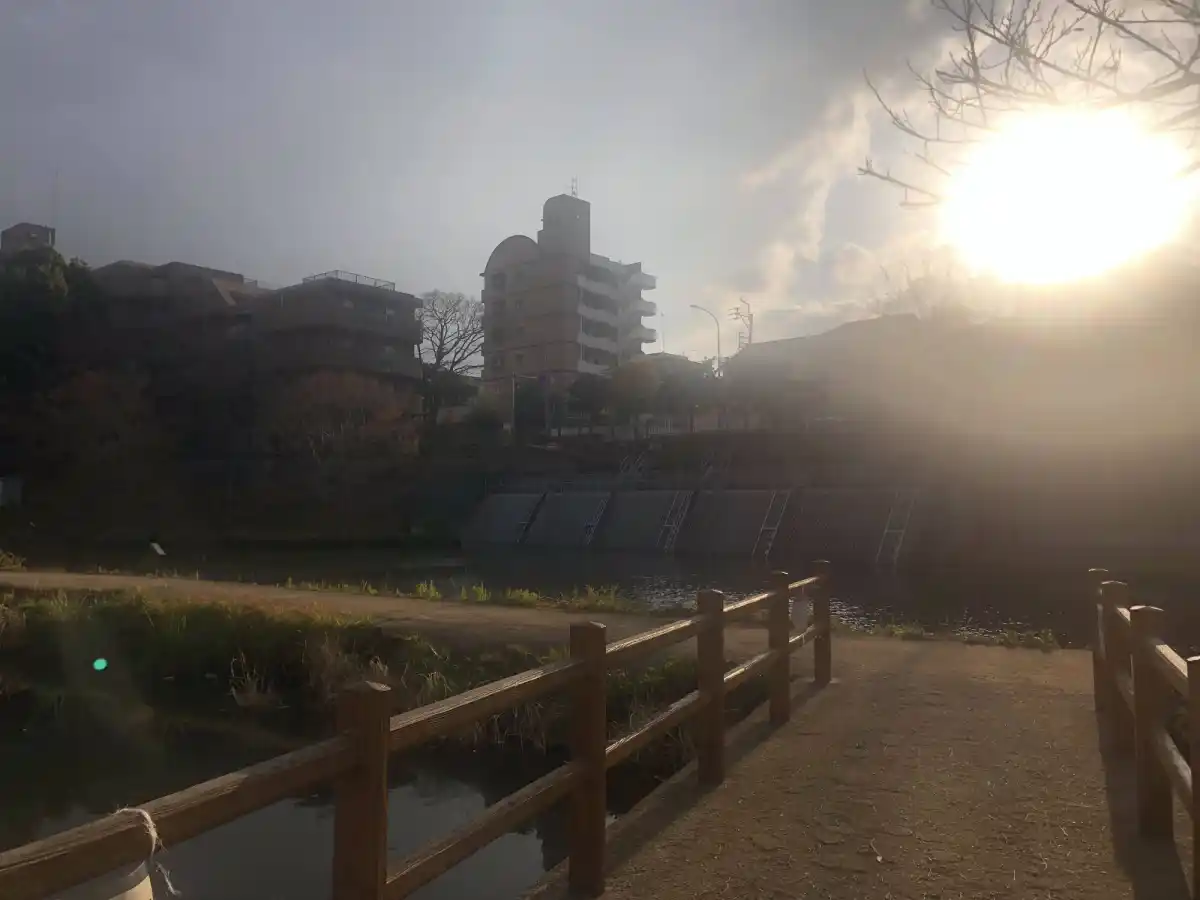 平尾大池の写真