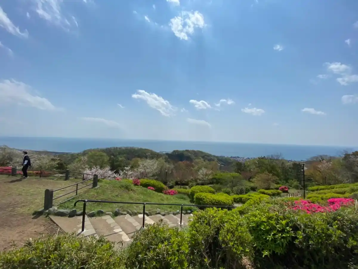 高麗山公園（湘南平）の写真