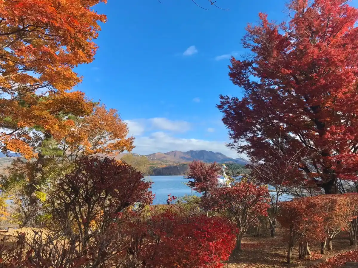 旭日丘湖畔緑地公園の写真