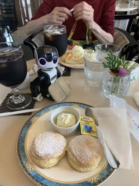 バンブルビーの写真