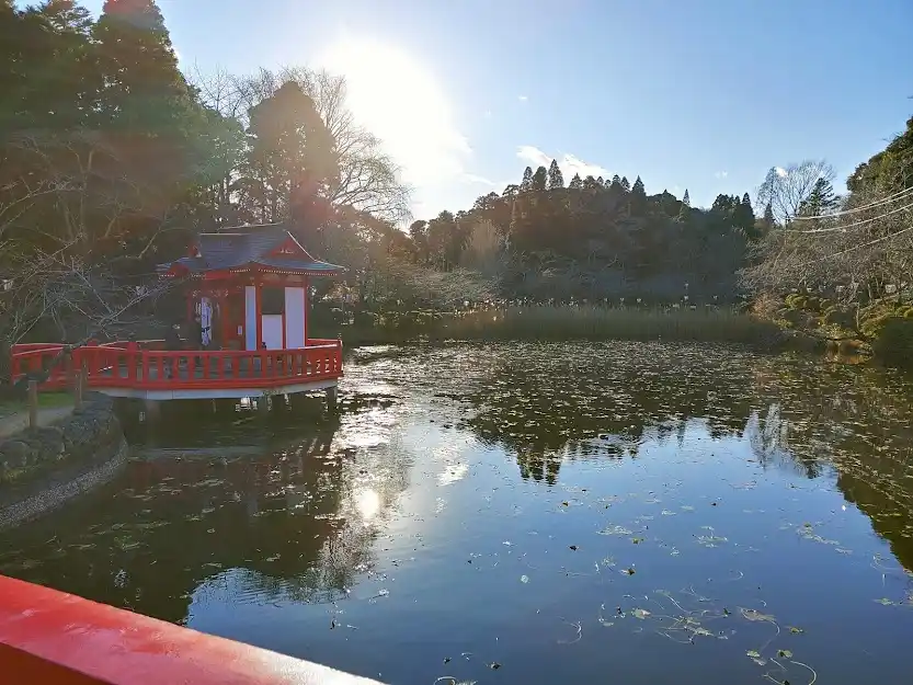 茂原公園の写真