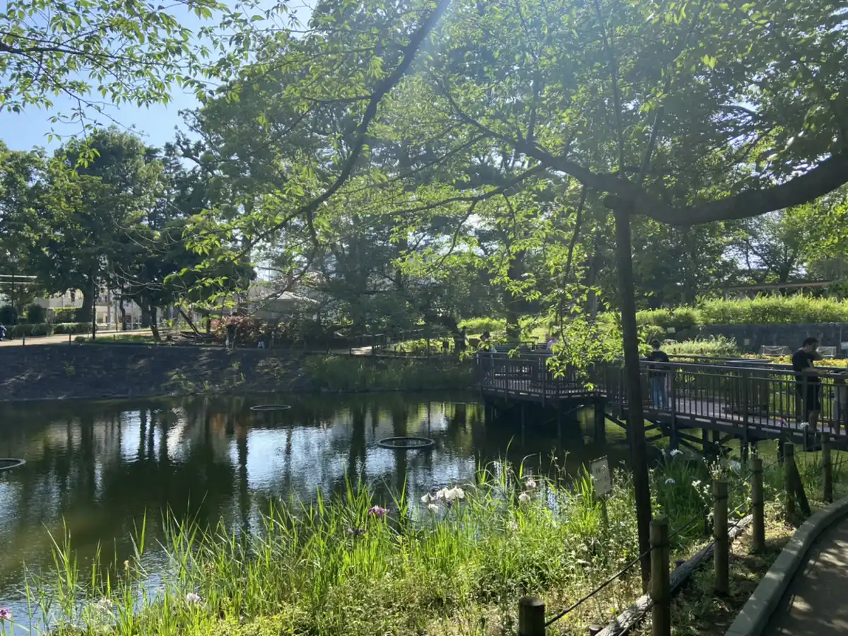 戸越公園の写真