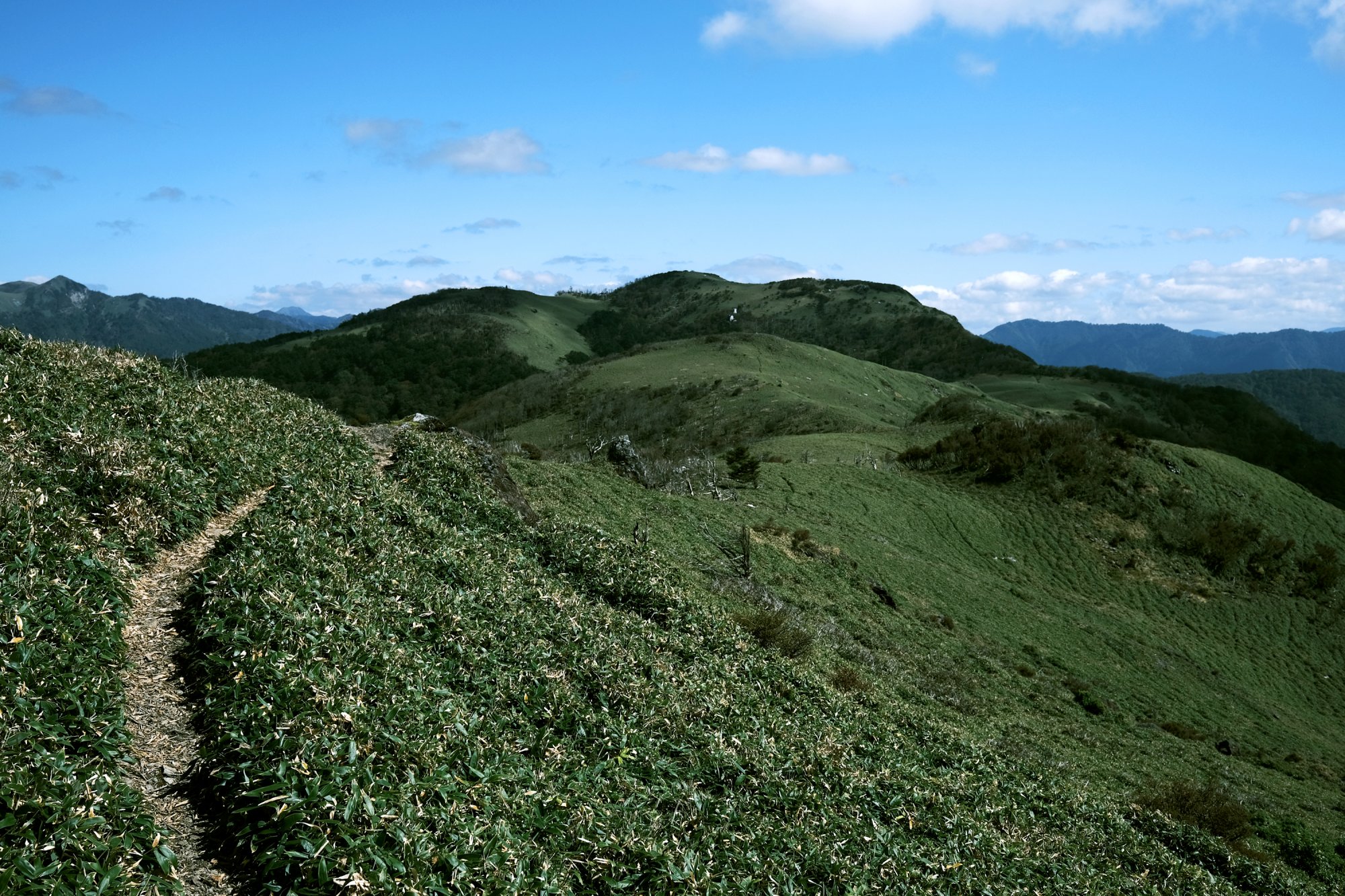 土佐矢筈山の写真