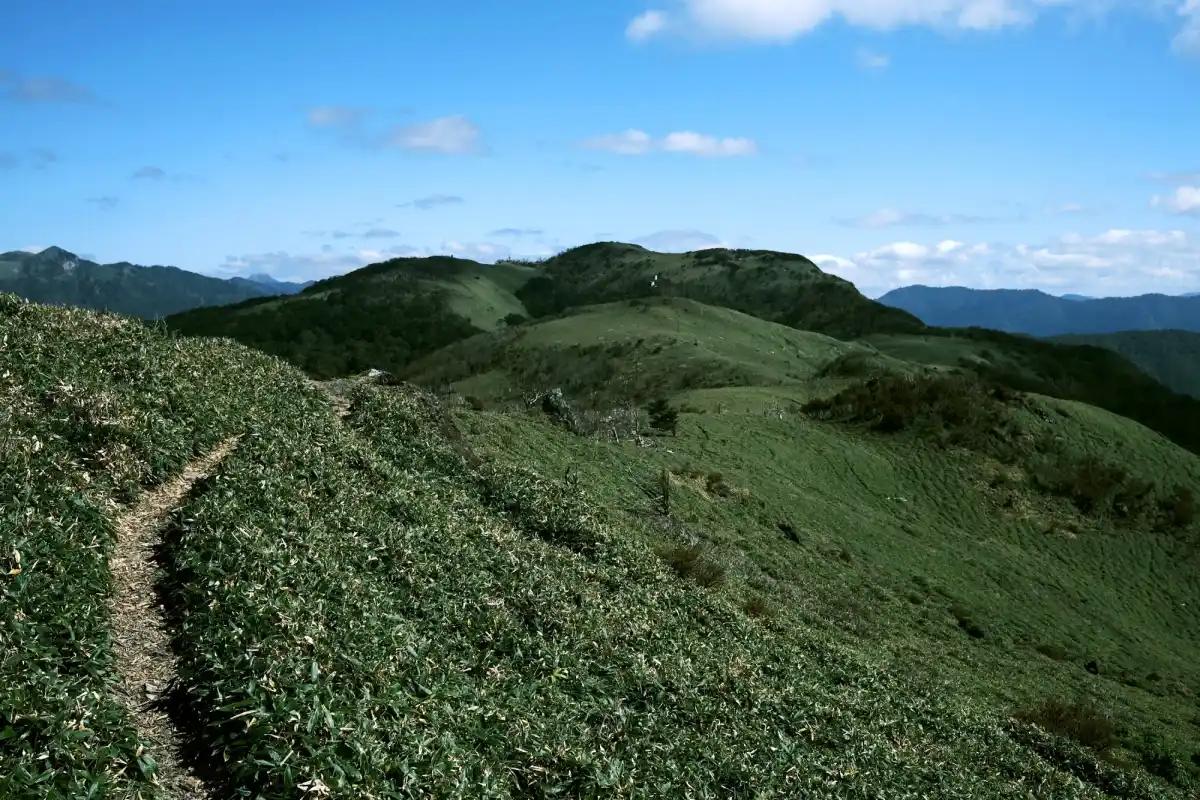 土佐矢筈山の写真