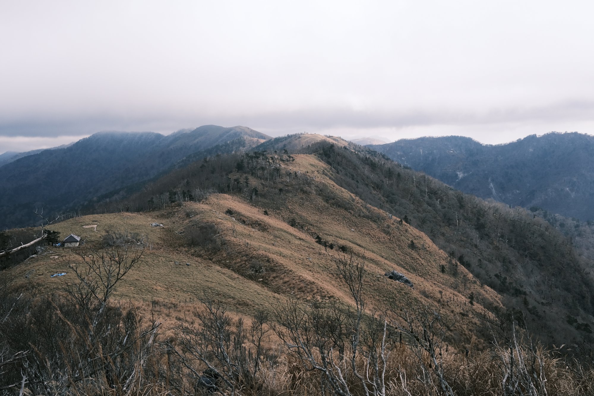 白髪山の写真