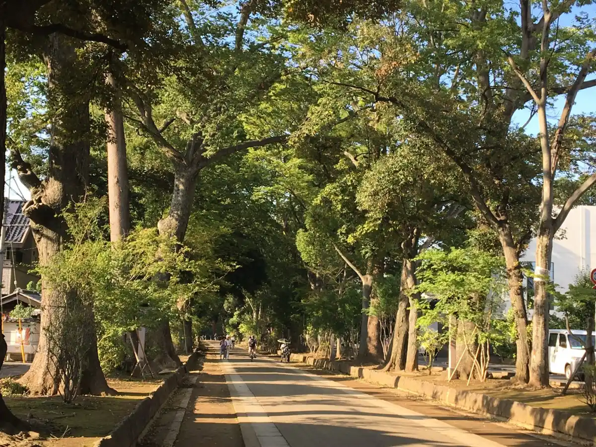 武蔵一宮 氷川神社の写真