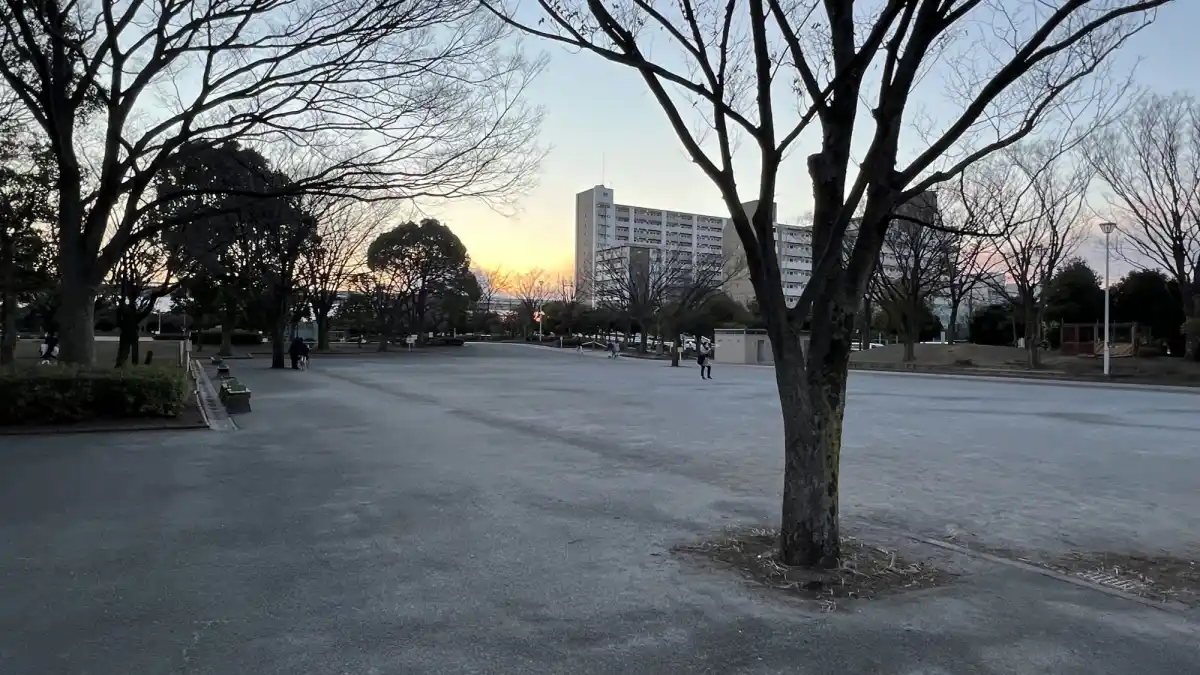 新小岩公園の写真
