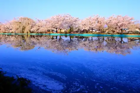 臥竜公園の写真