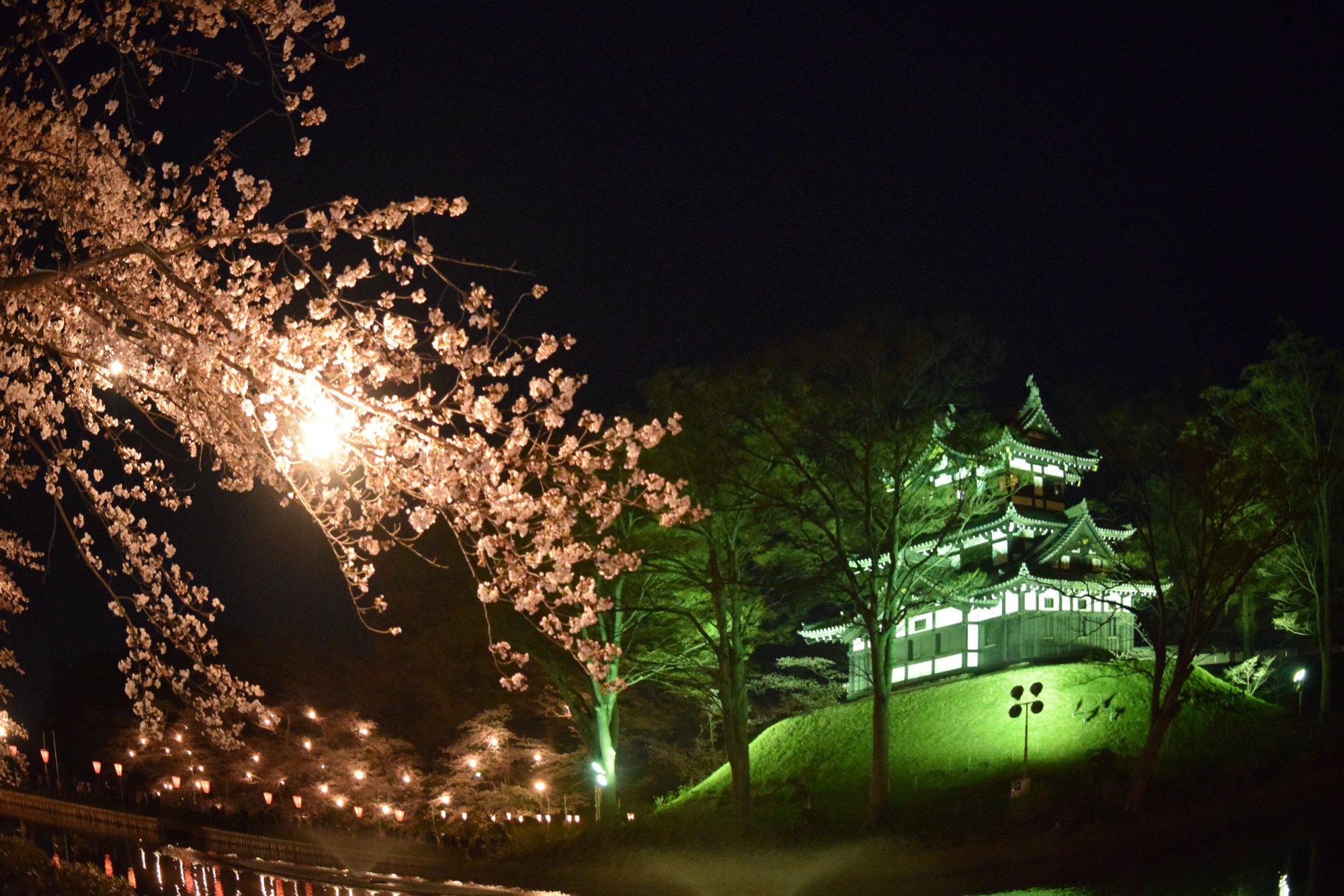 高田城址公園の写真