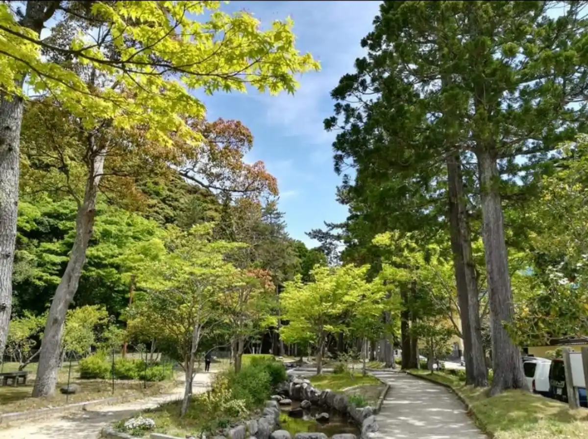 樗谿公園の写真