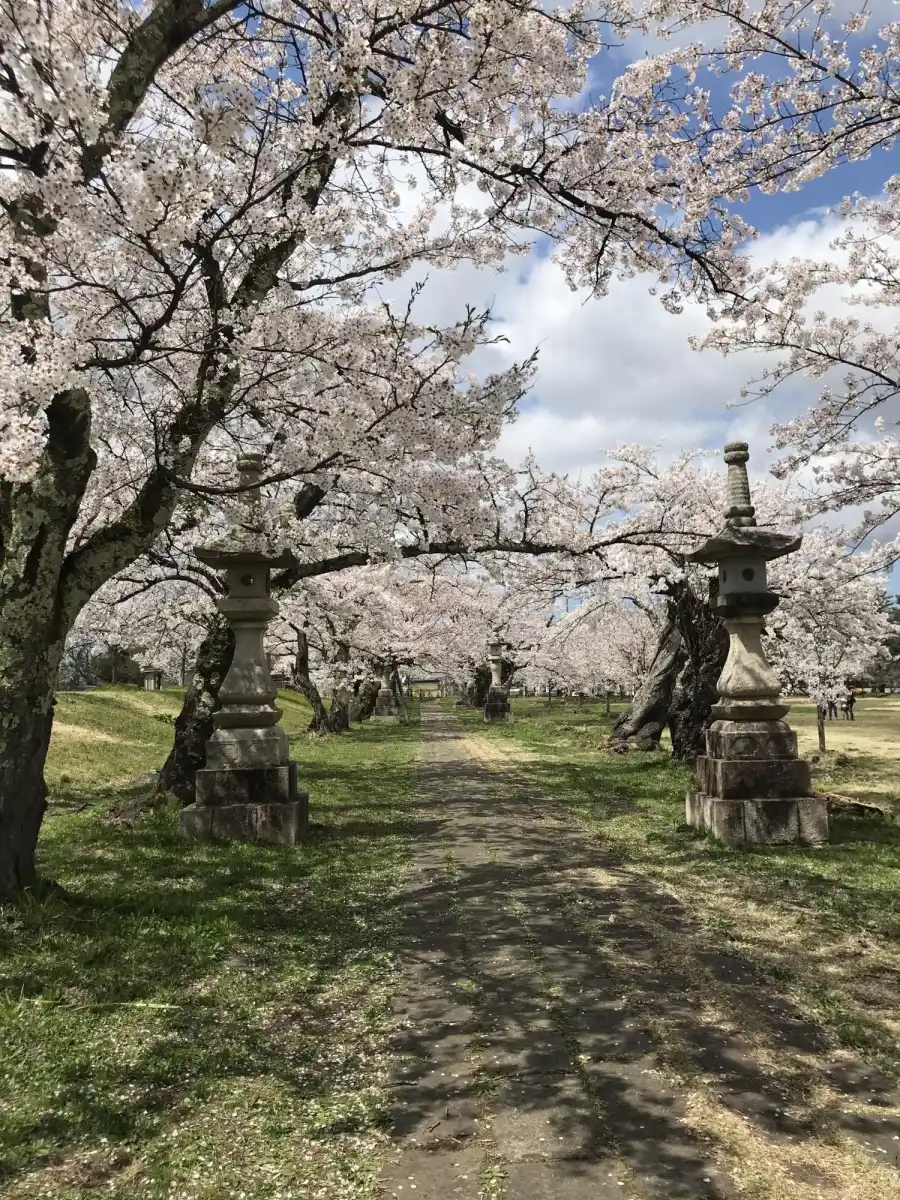 悠久山公園の写真