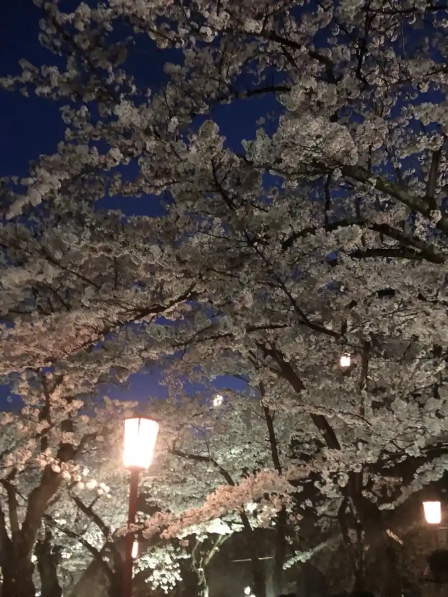 盛岡城跡公園の写真