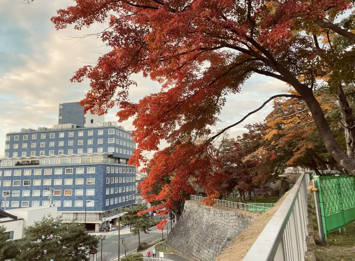 盛岡城跡公園の写真