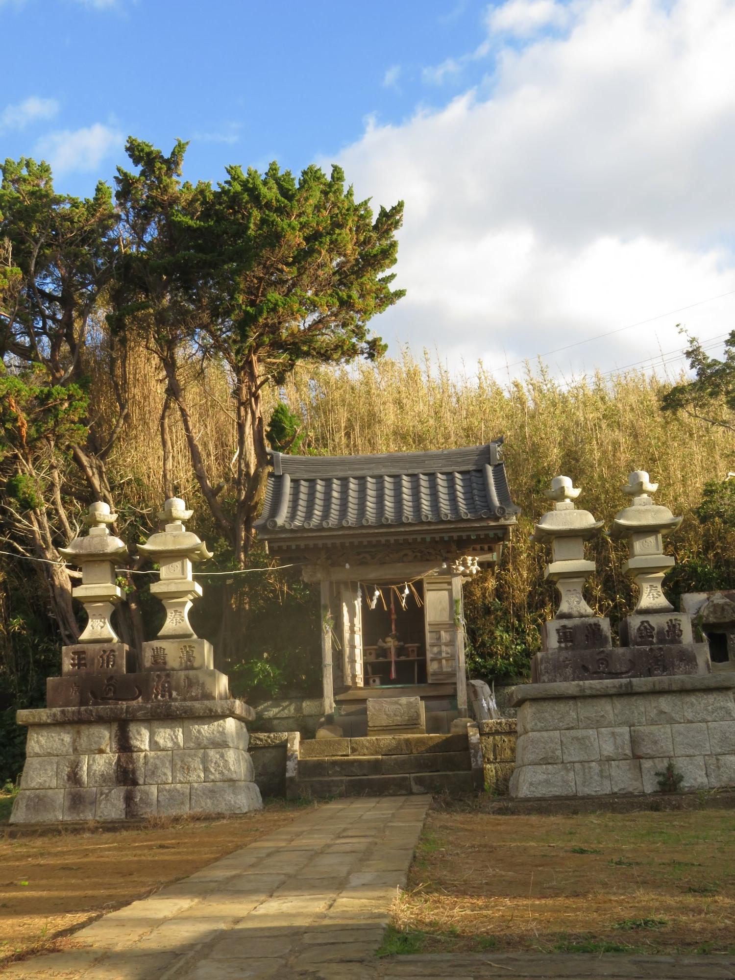 大杉神社の写真