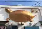 亀きん食堂の写真