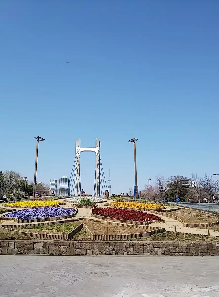 木場公園の写真