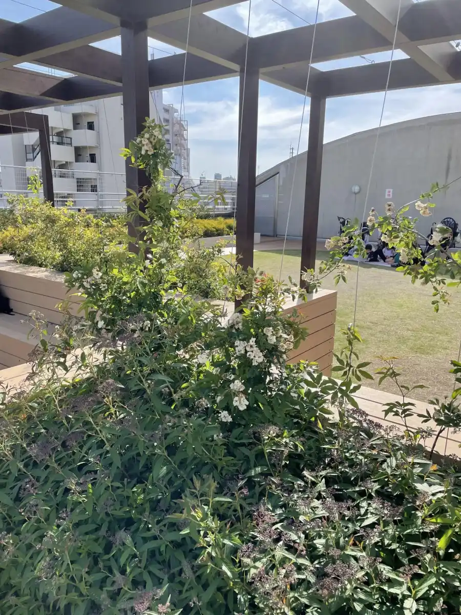 屋上庭園の写真