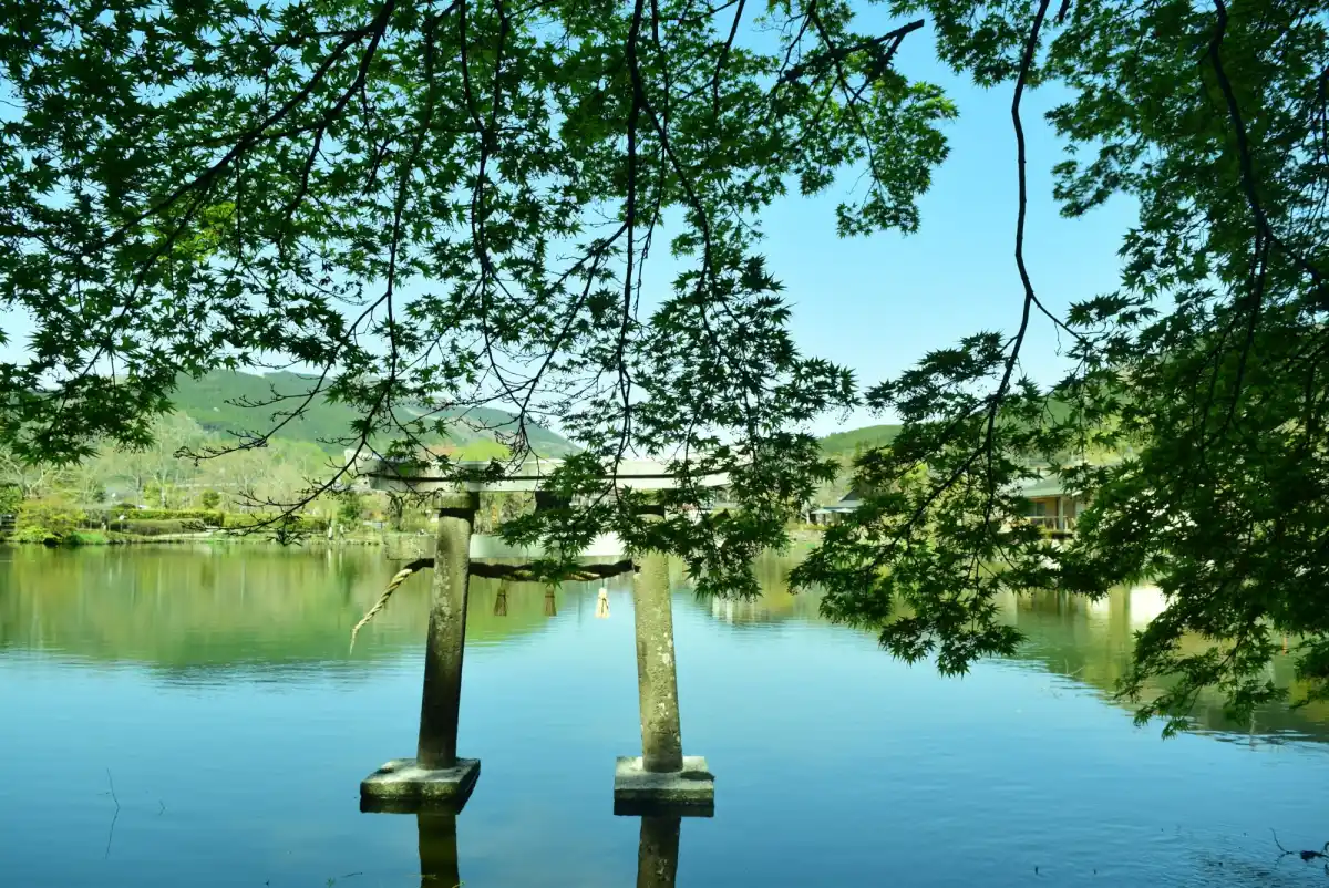 金鱗湖の写真