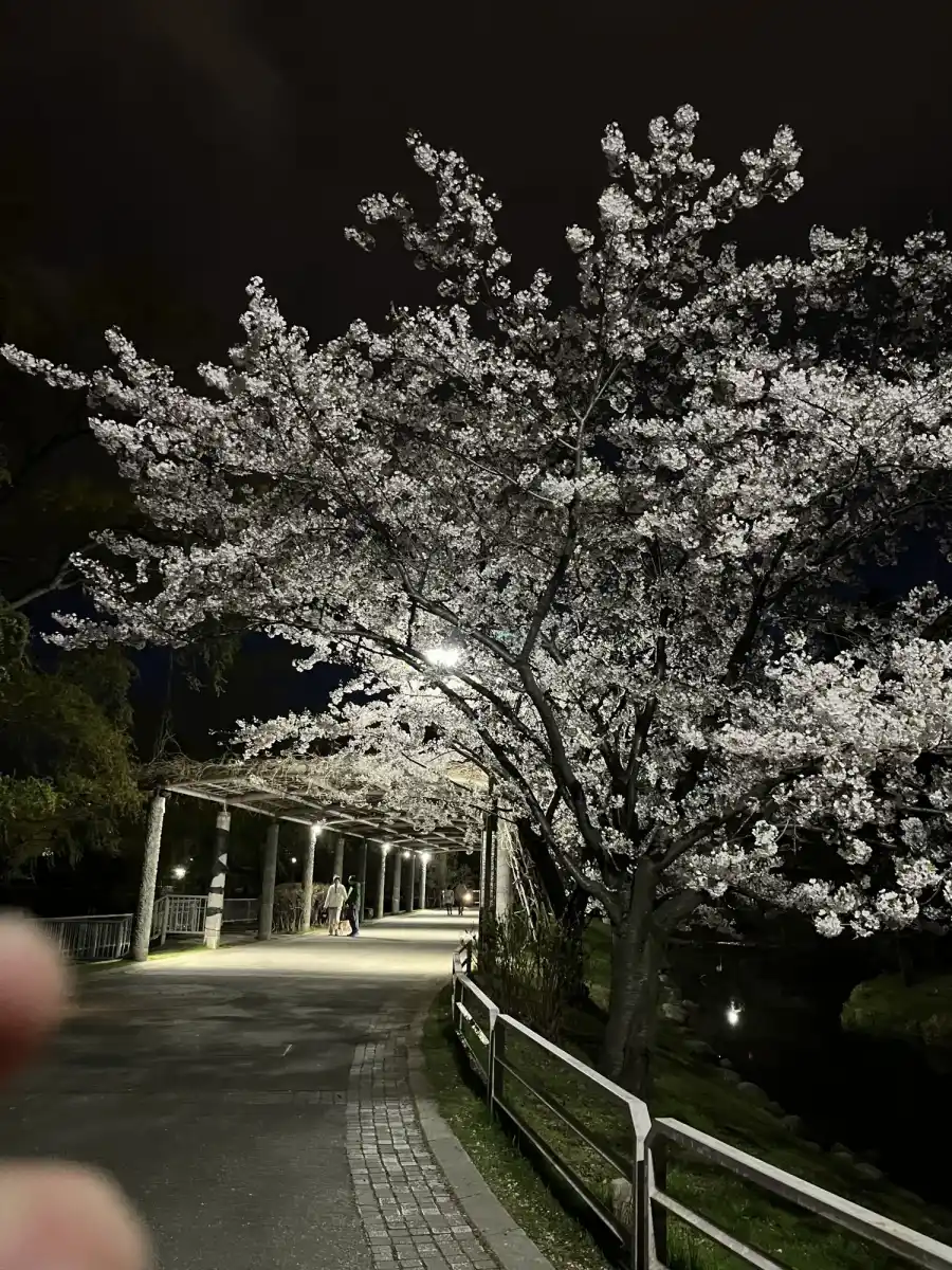 のんびりスポットの写真