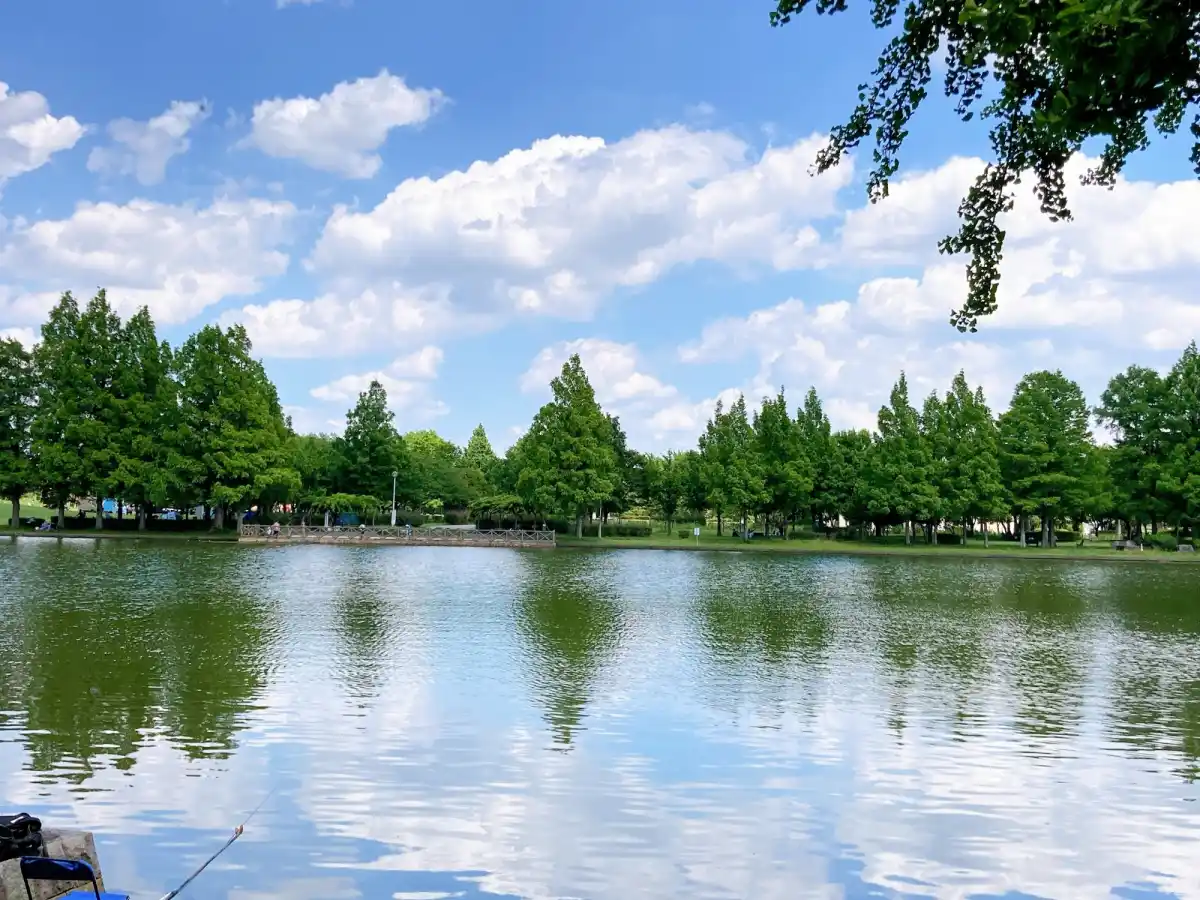 水元公園の写真