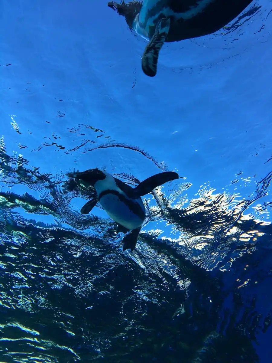 サンシャイン水族館の写真