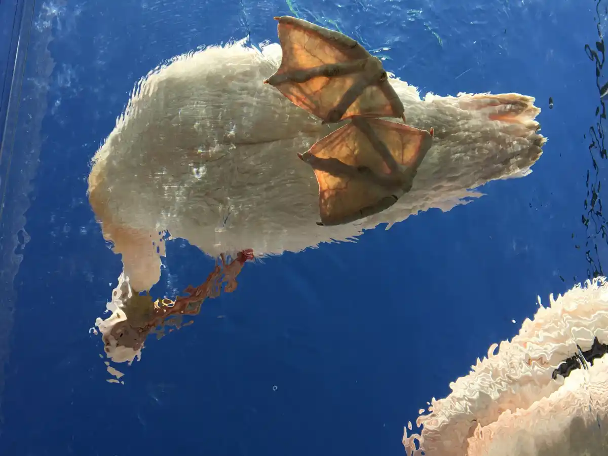 サンシャイン水族館の写真