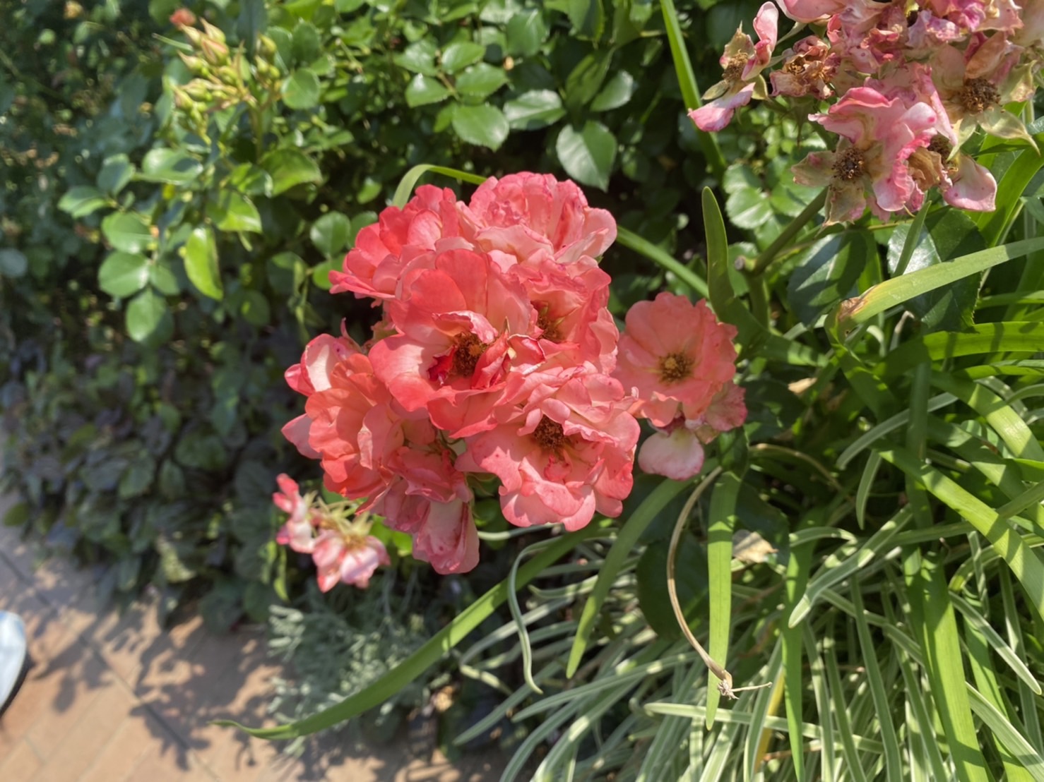 山下公園の写真