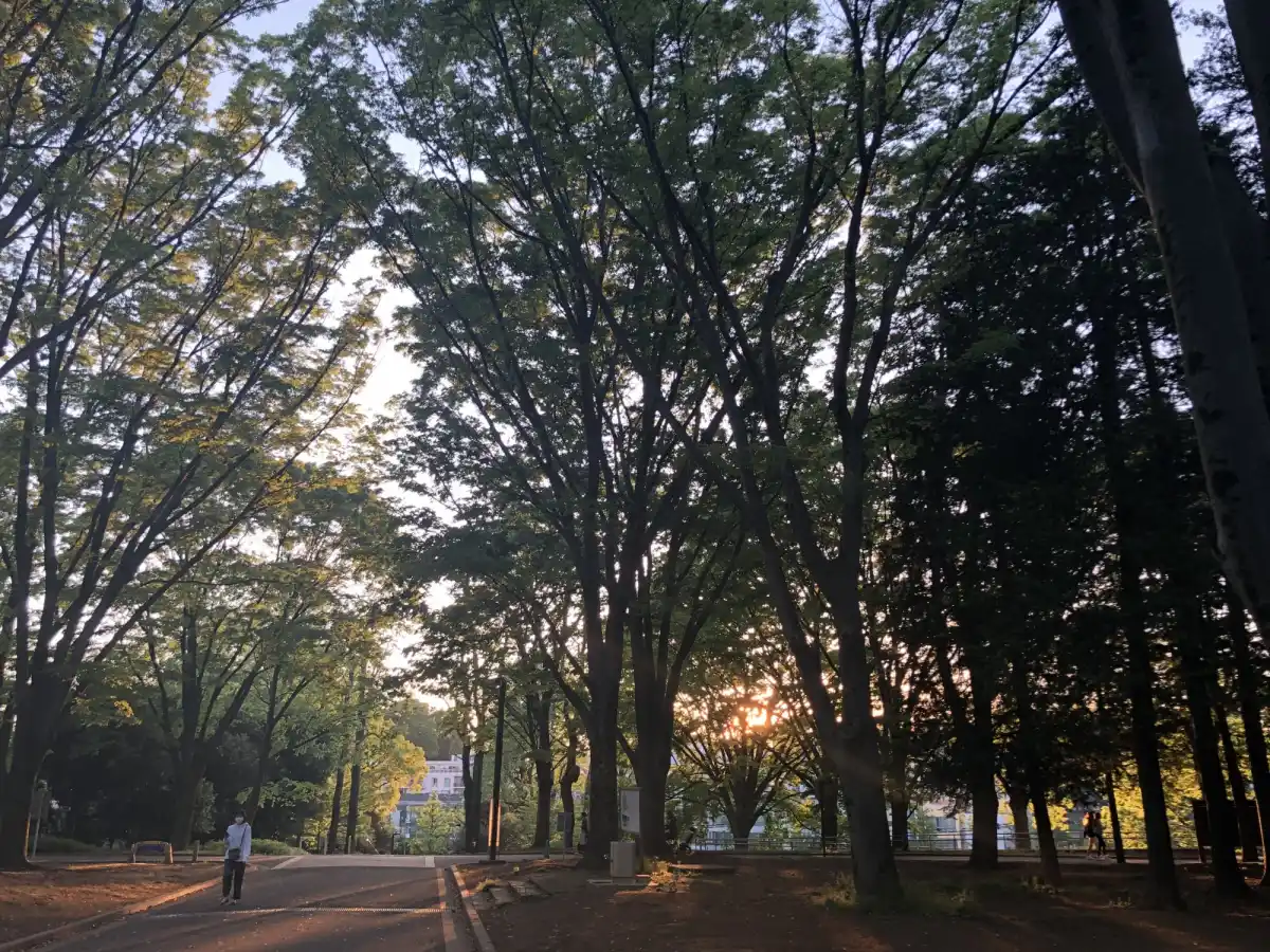 代々木公園の写真