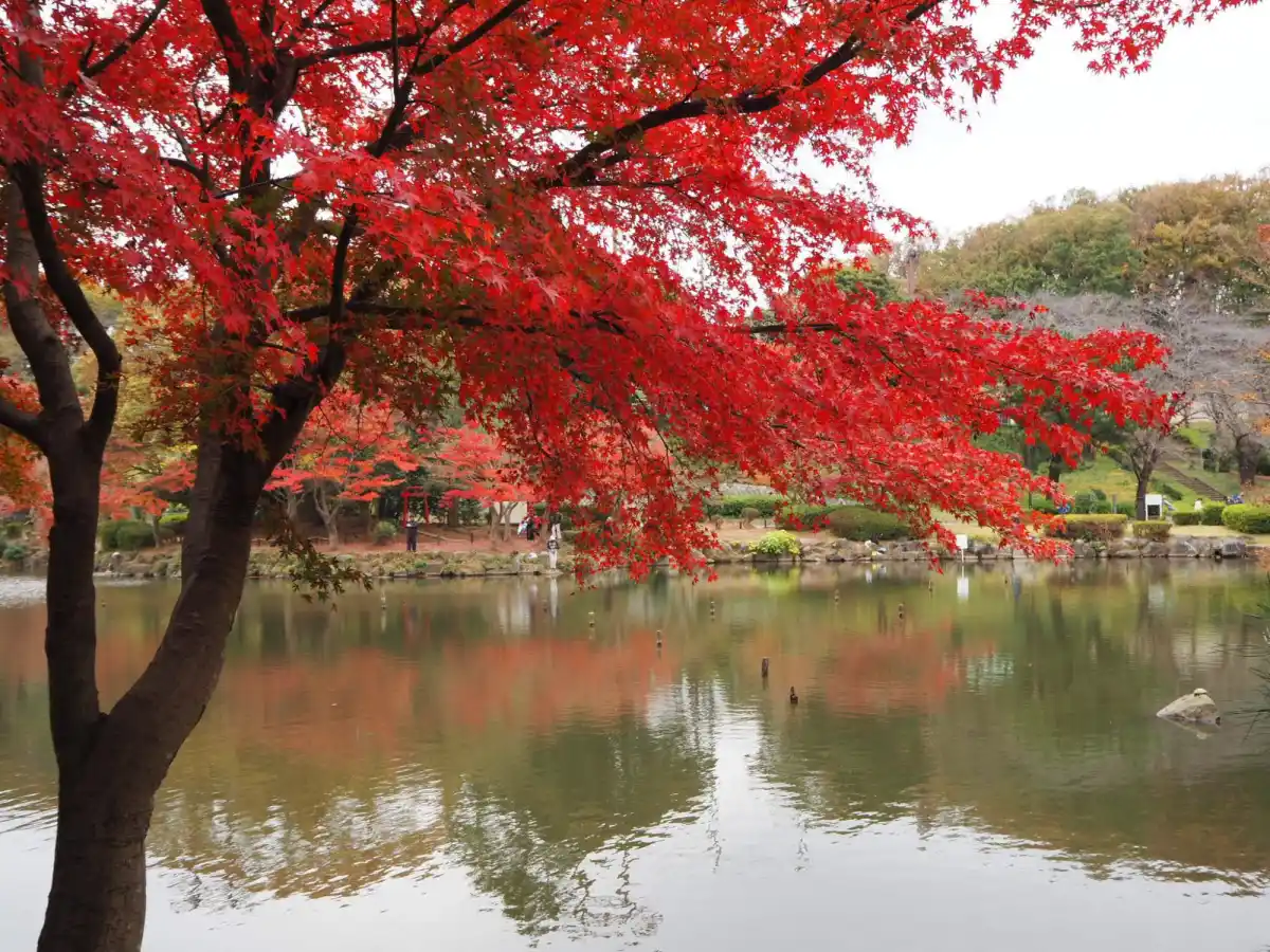 こども自然公園の写真
