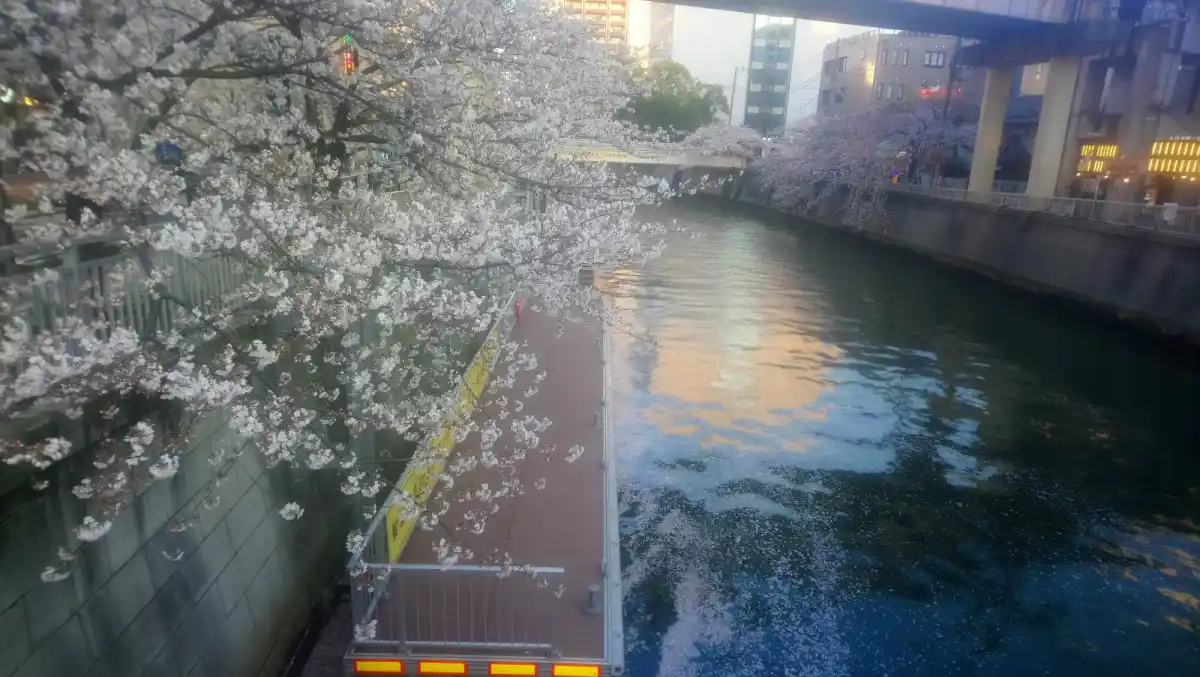 目黒川沿いの公園の写真