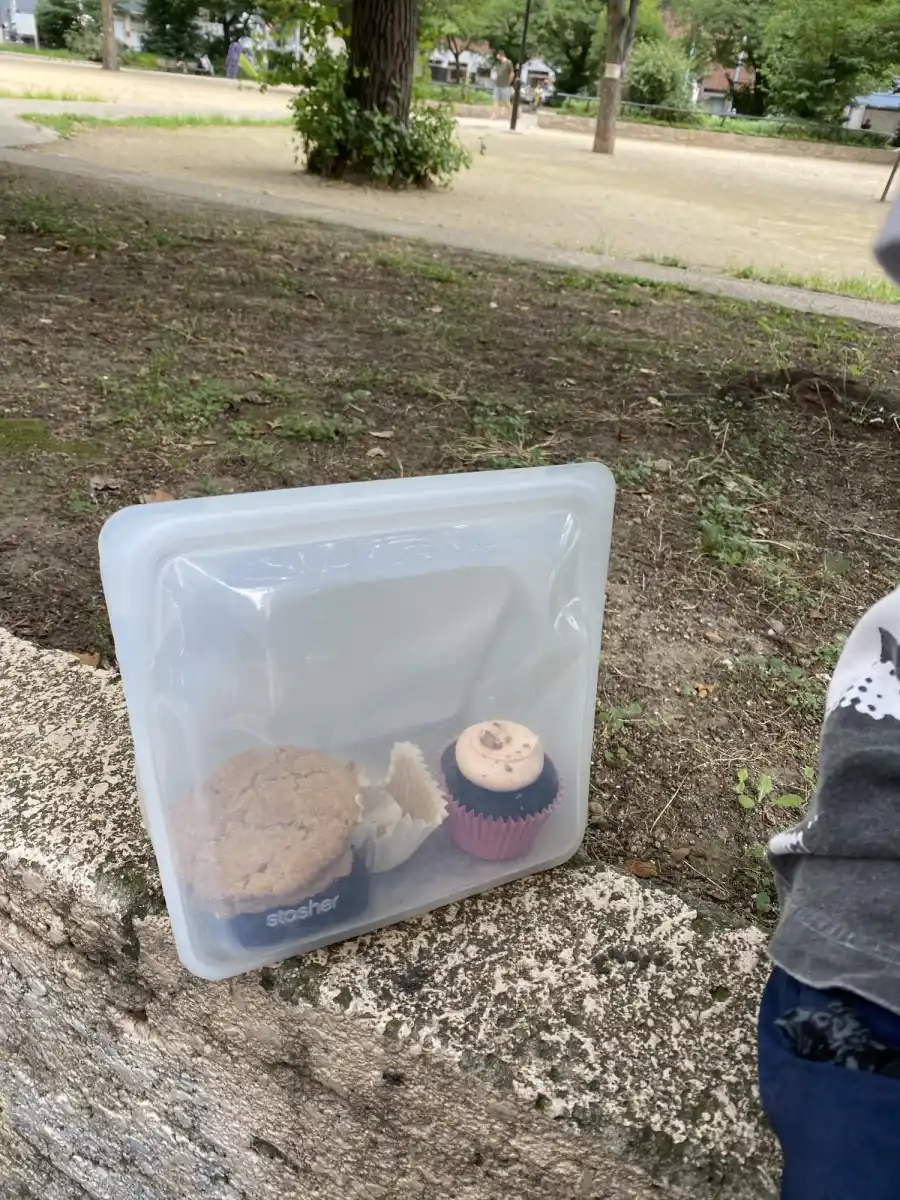 公園の塀ベンチの写真