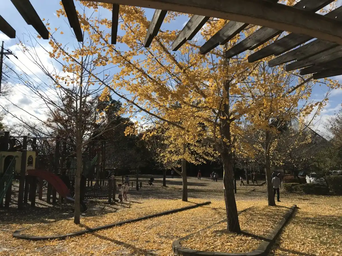 大吉公園の写真