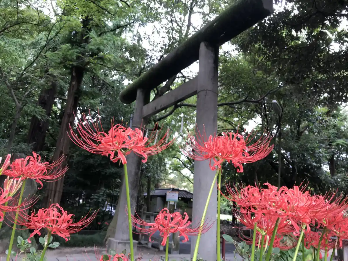 久伊豆神社の写真