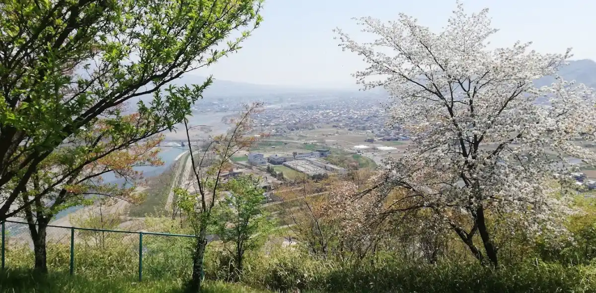 千曲公園の写真