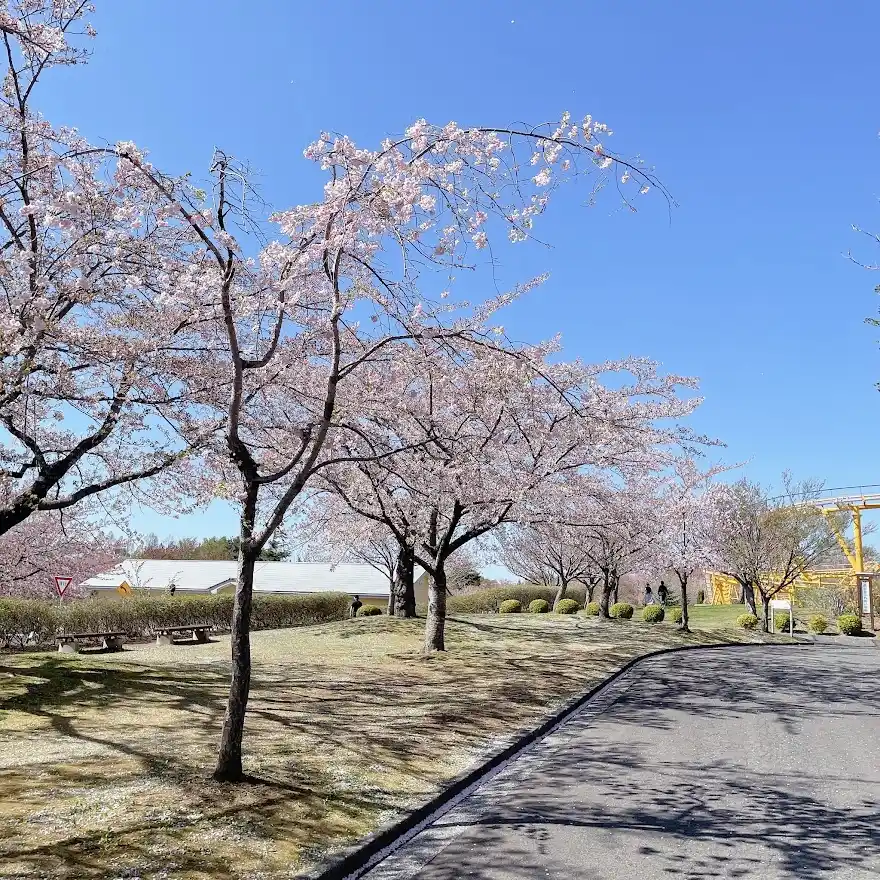 八戸公園こどもの国の写真