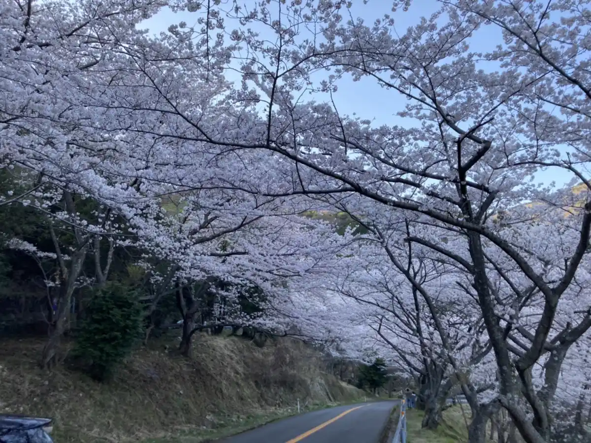 野呂山の写真