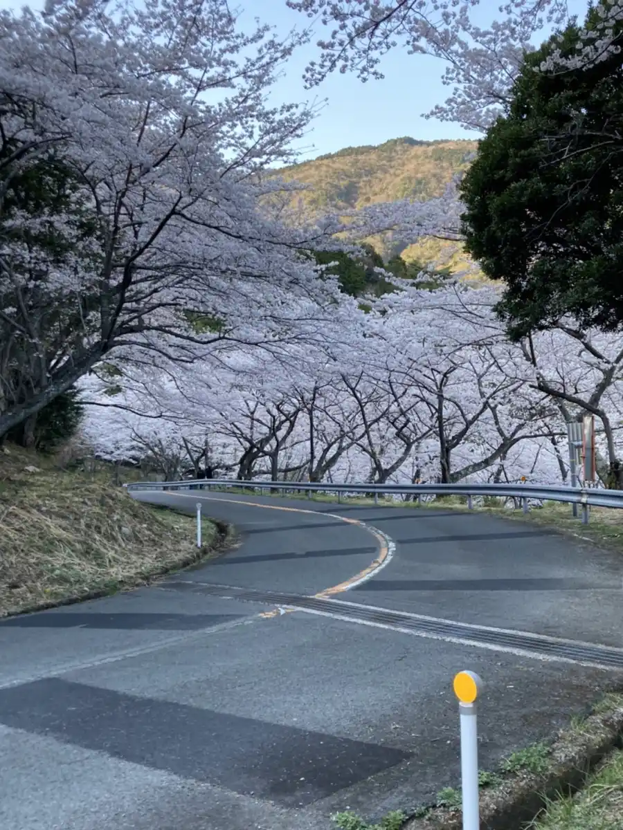 野呂山の写真