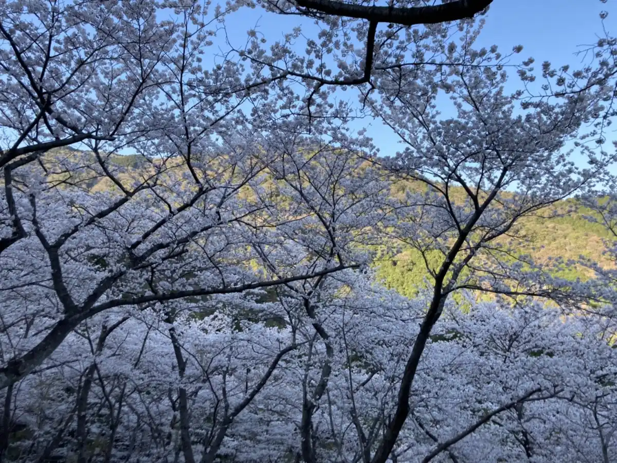 野呂山の写真