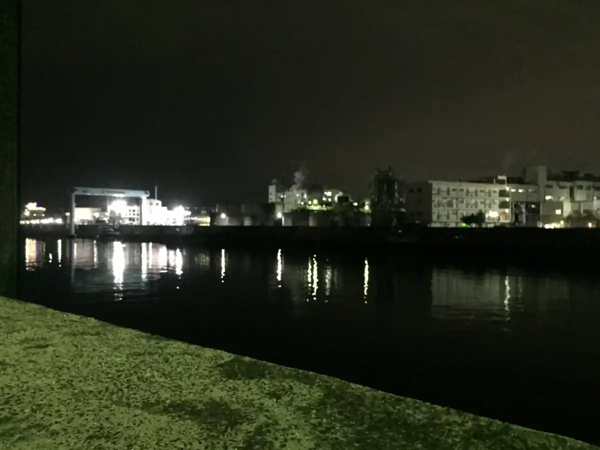 妙見島の夜景の写真